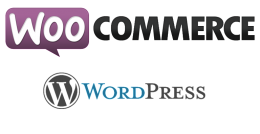 Gestire i pagamenti con carta di credito su WooCommerce
