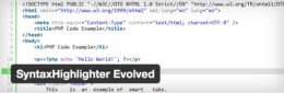 Inserire Blocchi di Codice (Php,Css,Html) in Articoli su WordPress